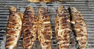 Alabalık Izgarada Kaç Dakikada Pişer? İdeal Süre ve Püf Noktaları